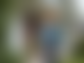 Your Ultimate Pre-Purchase Inspection Guide: Why It Matters More Than You Think