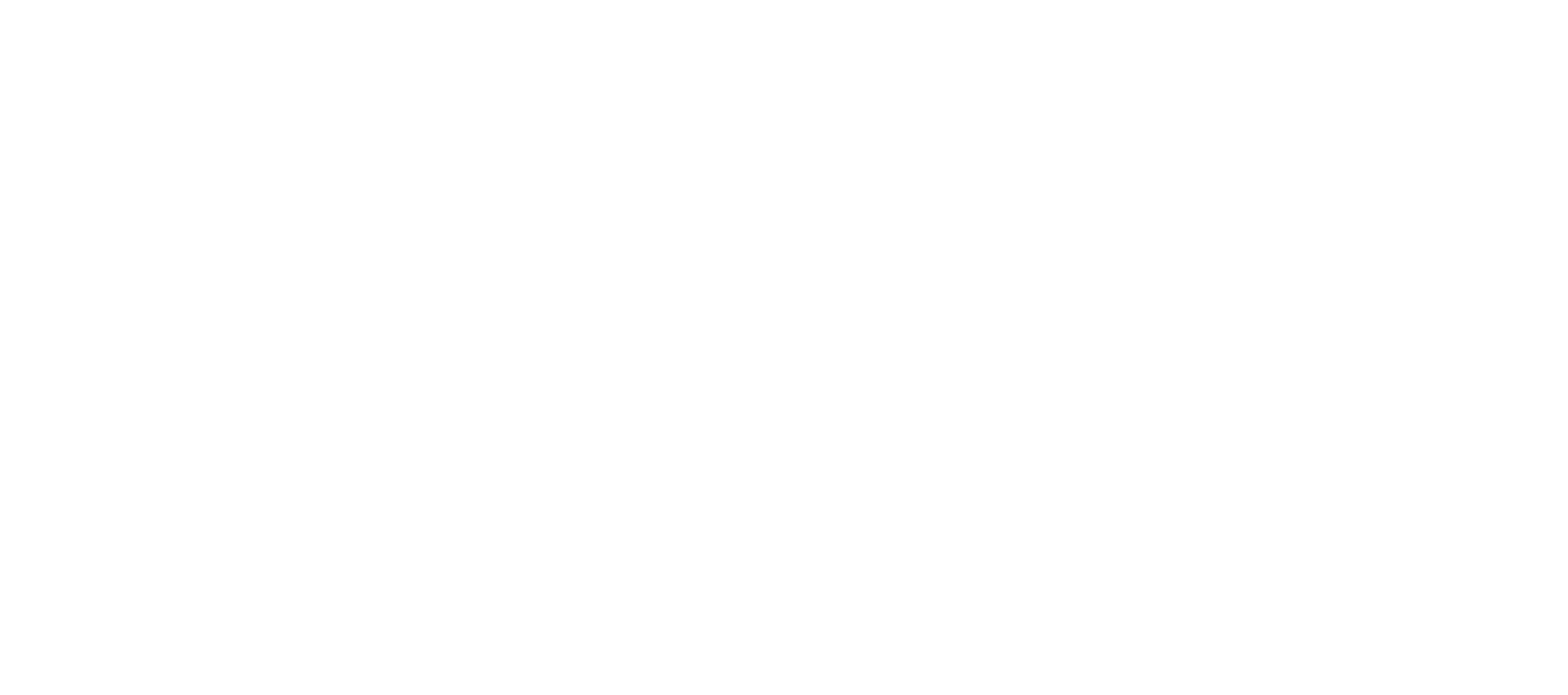 Logo MetalConcept WHITE.png