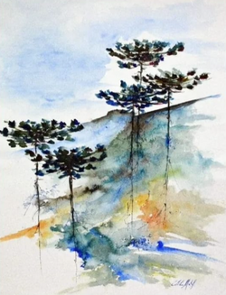 "Série Araucárias"