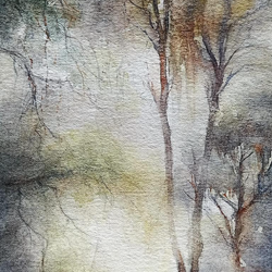 "No meu Quintal a Chuva Corre Mansa"