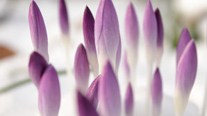 高校受験お疲れ様でした。