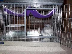 Travelcage with hammockPopped Up1