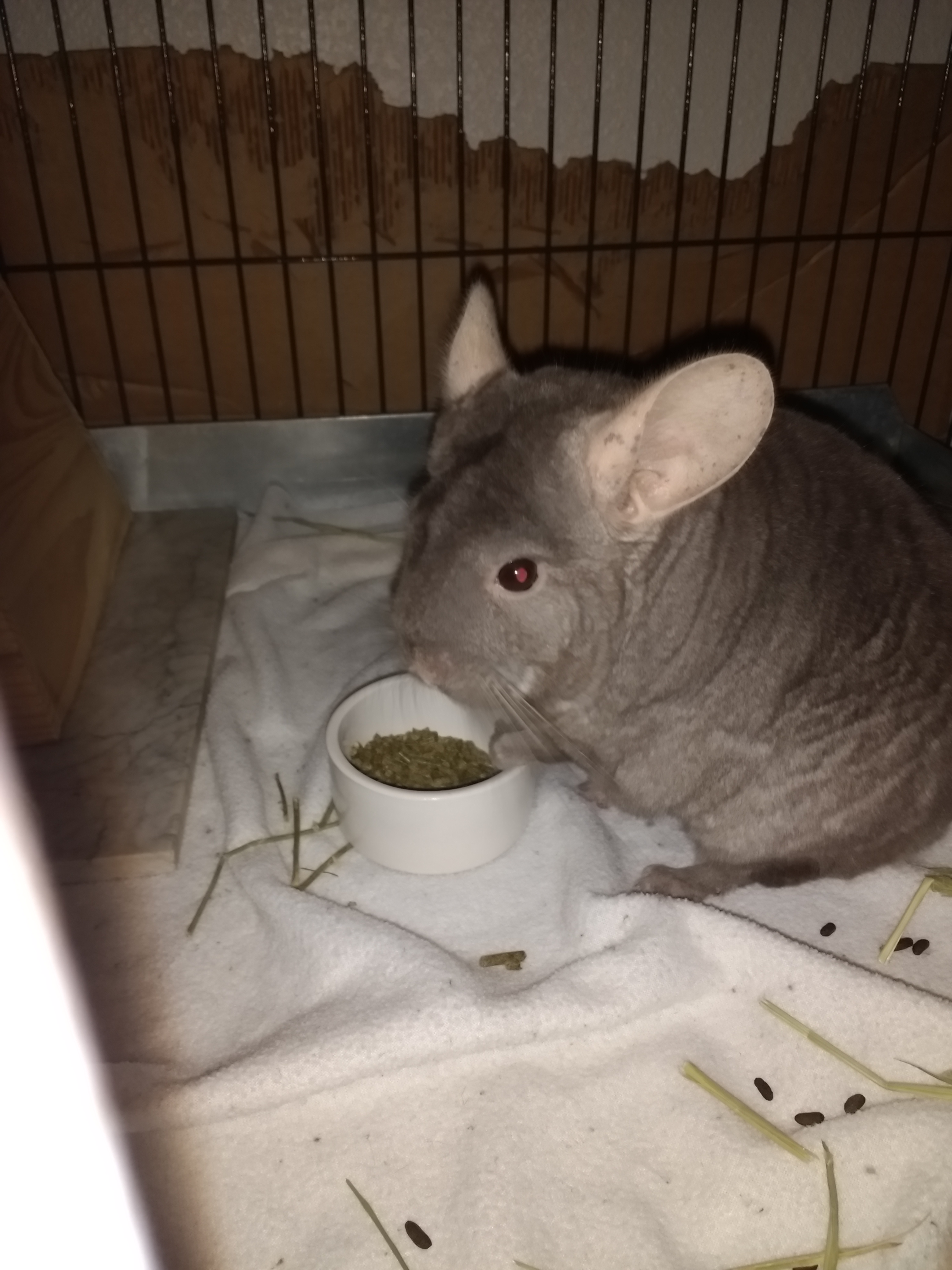 chins teeny