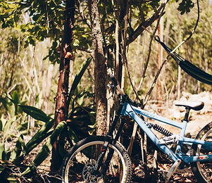 bicycle in the woods