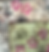 Gaza Background