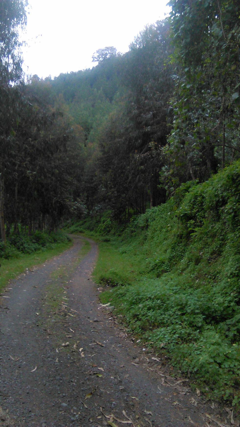 Get a way to the new Plot.