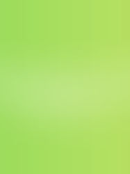 Watch and Download TikToks in High Definition | Keen Converters