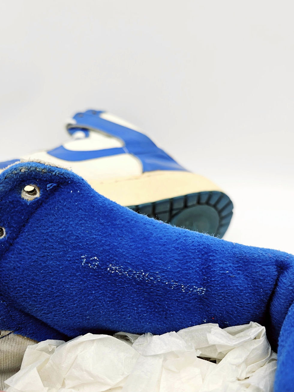 Thumbnail: Pair Nike Dunk Air Original Player Sample