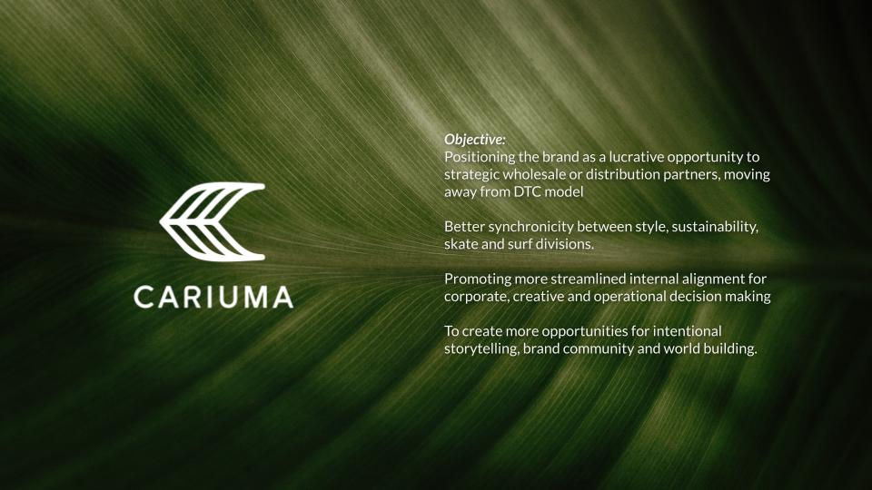 Untitled presentation