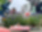 IMG_2975.jpeg