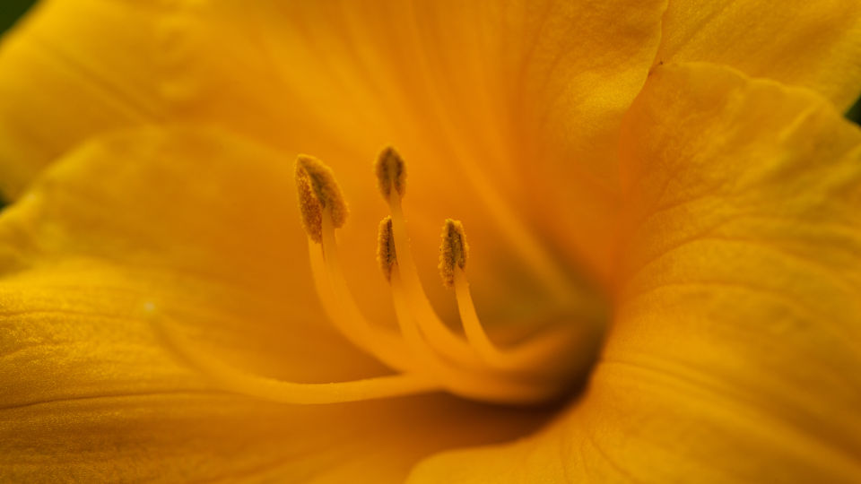 2O2A9081-4.jpg