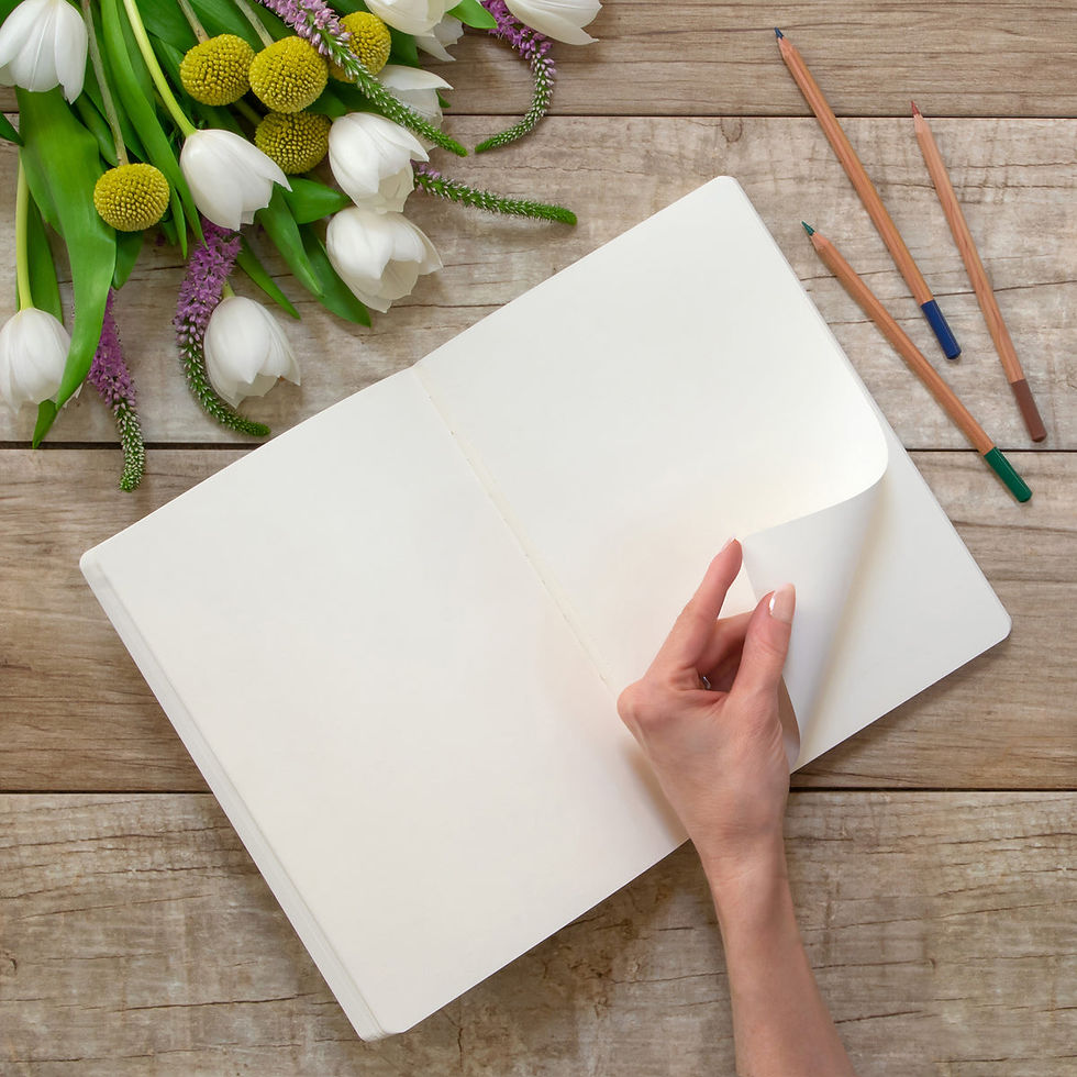 Thumbnail: Riley Sketchbooks