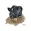 Thumbnail: Matted Farm Animals Medium Print
