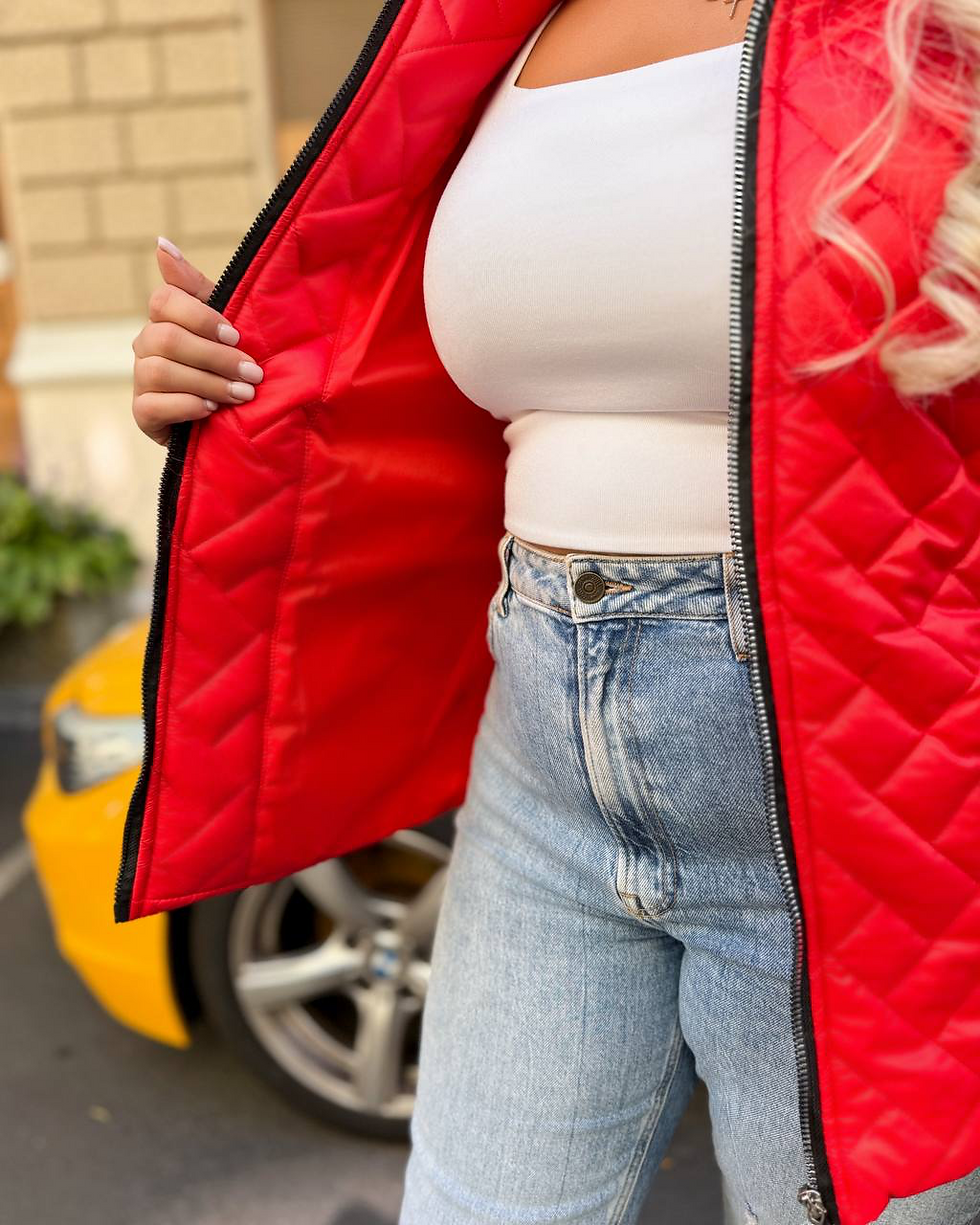 Miniatiūra: Striukė Lili