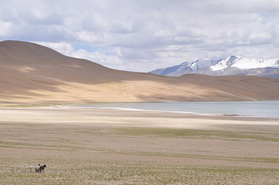 Ladakh, Himalaya, India