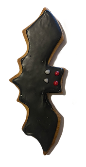 IMG_4148_edited.png