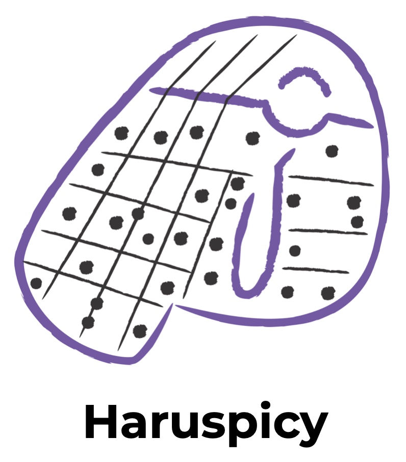 Haruspicy