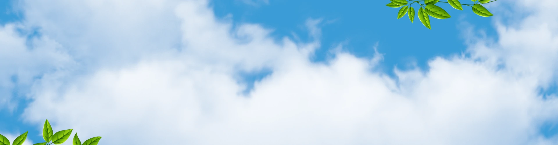 Banner - Arborismo - Parque Natural Chicaque.webp