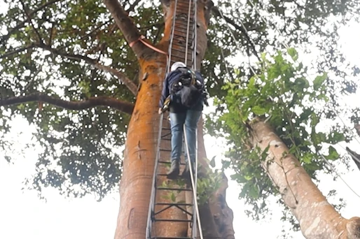 arborismo-chicaque.webp