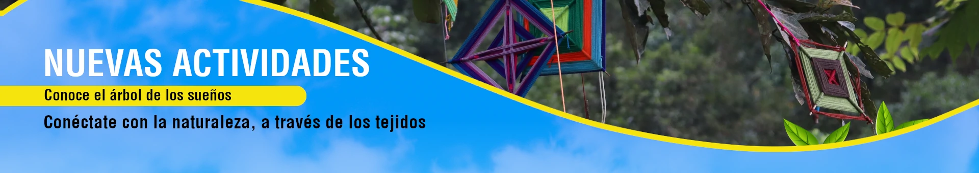 Arbol-de-los-sueños-chicaque