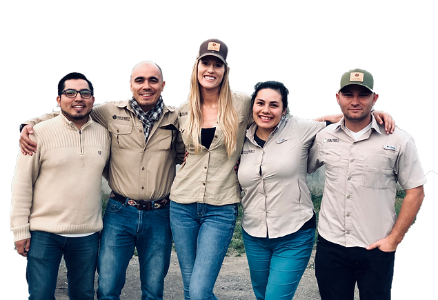 CLT TEAM