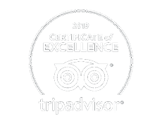 Trip Advisor