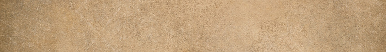 Map compass background
