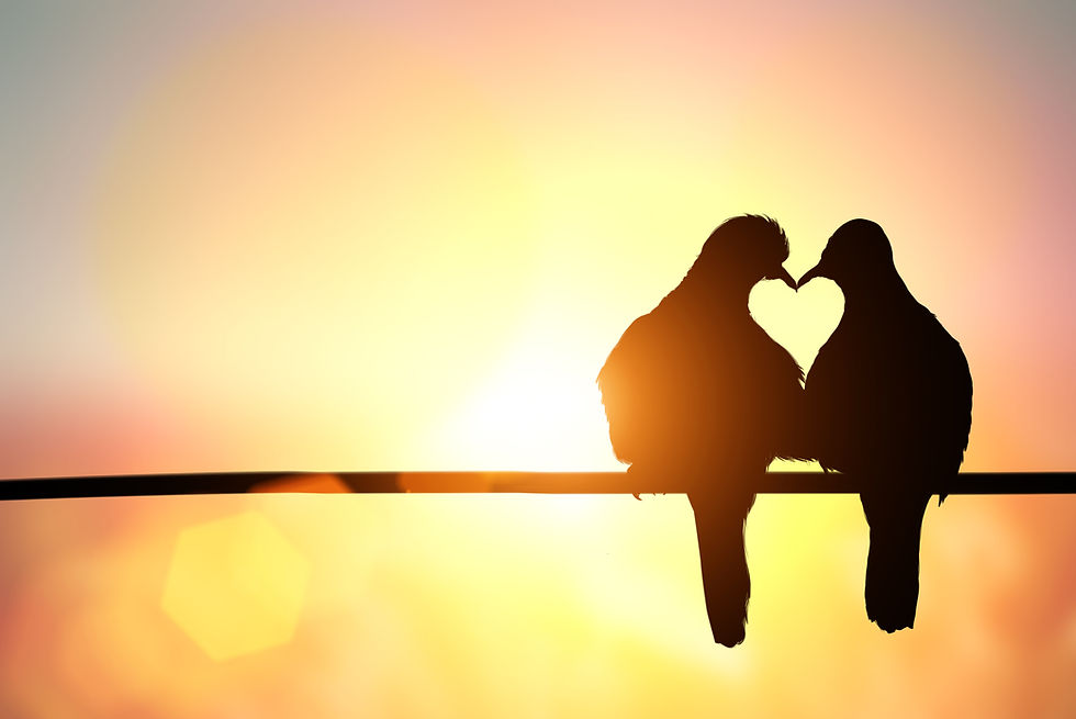 Guatemala is for Lovers