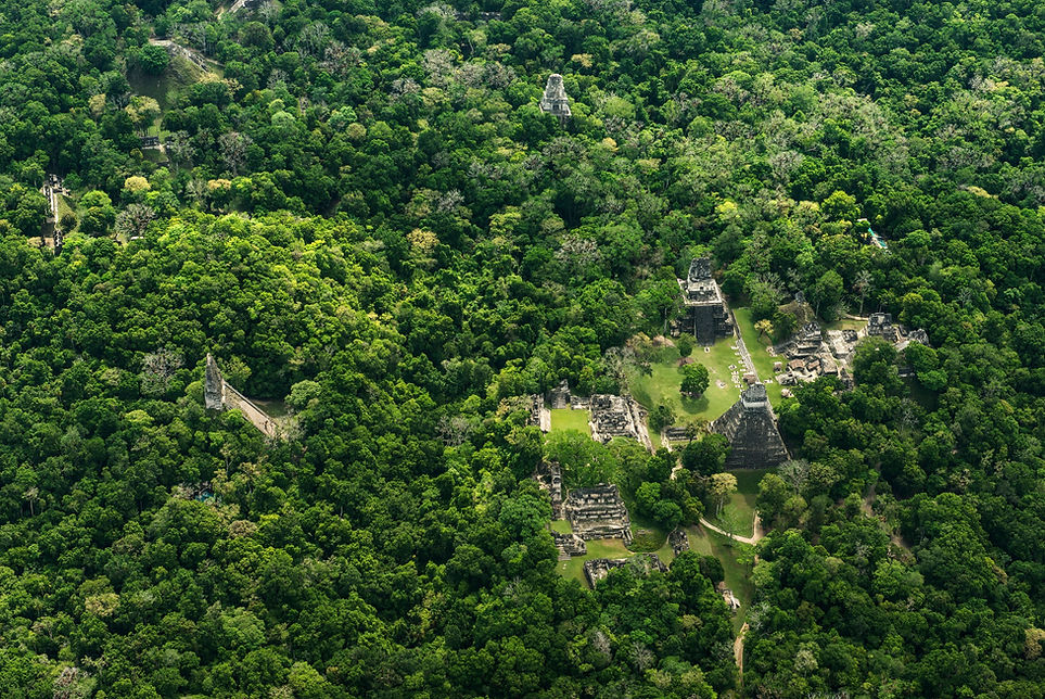 Aerial Tikal National Park