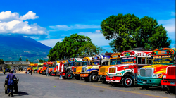 Chicken Buses in Antigua