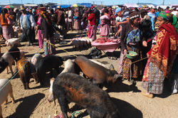 San Francisco el Alto