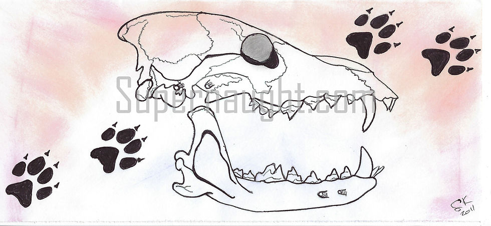 Scott Kimball artwork