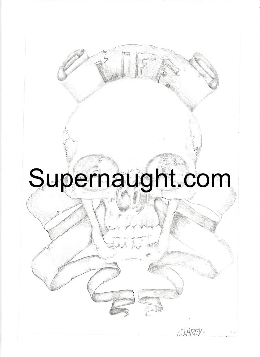 richard clarey skull drawing signed
