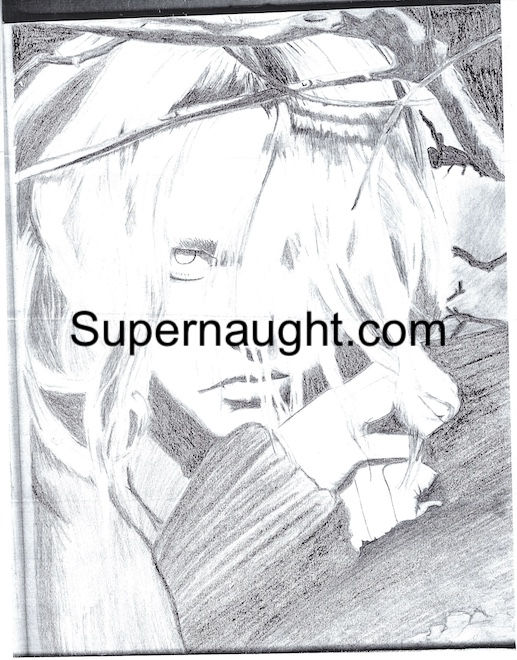 natasha cornett artwork