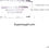 Thumbnail: Dorothea Puente correspondence