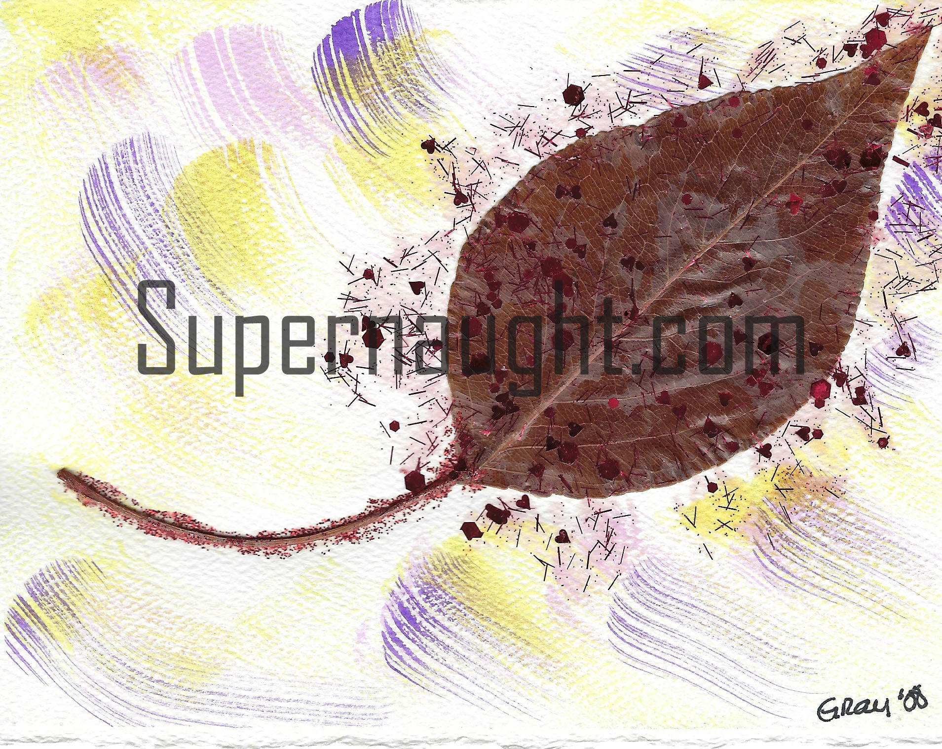 Dana Sue Gray California