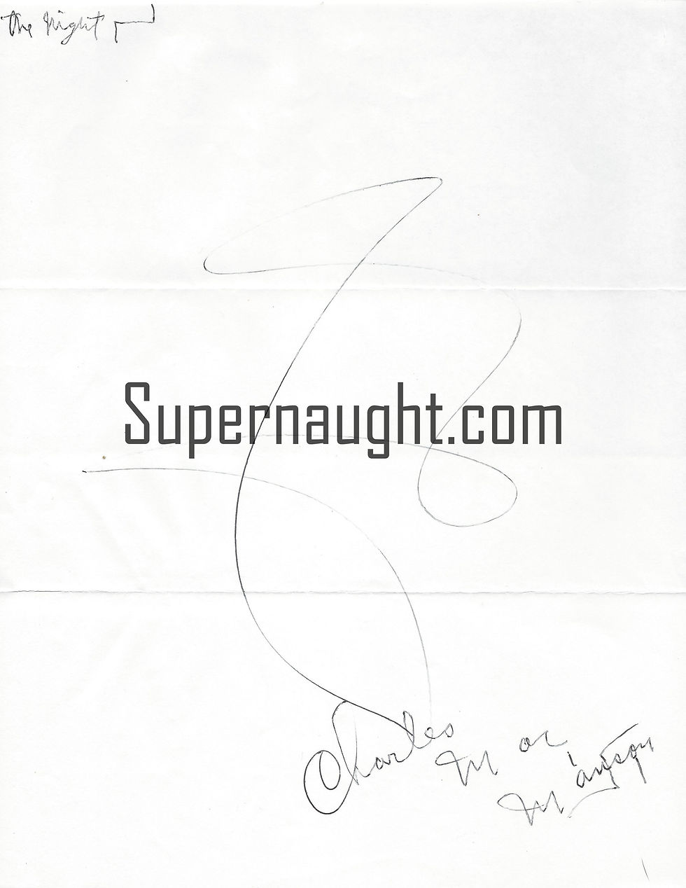 Charles Manson Night Artwork