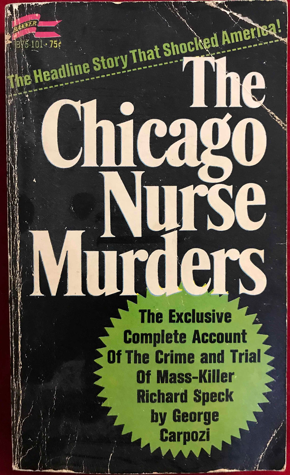 The Chicago Nurse Murders