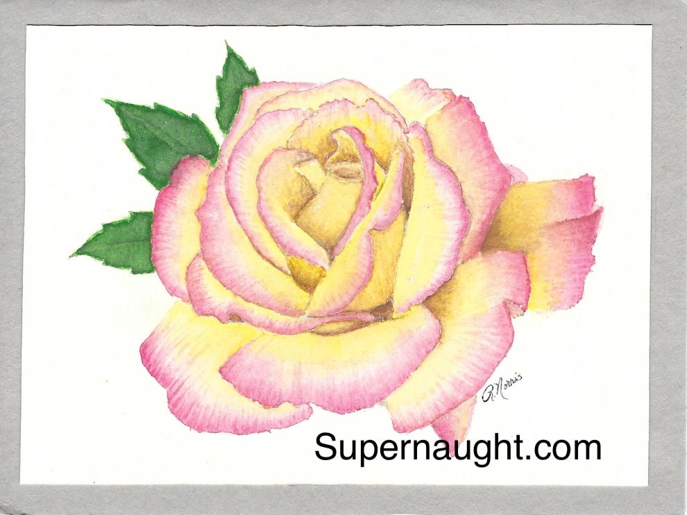 roy norris artwork signed peace rose serial killer murder mack