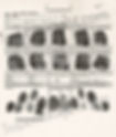Edward Gein fingerprint chart