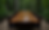 Gemini_Generated_Image_wn5xt4wn5xt4wn5x_edited_edited_edited_edited.png