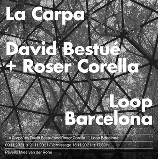 Presentamos LA CARPA en el marco del Loop Barcelona!!