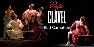 Rojo Clavel has been selected for the 2025 Australian Inspired Dance Film Festival!