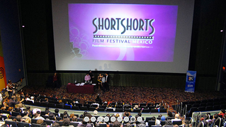 Shorts Shorts Film Festival Mexico 2014 announces the Official selection. "Prisoners of Kanun" will