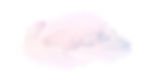SS-WEB-BG .jpg