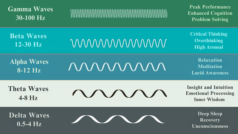 Brainwaves (4).png