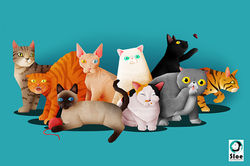 Cats