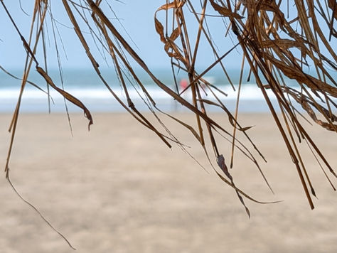 The Joy of Not Knowing: Embracing a Slower Information Pace