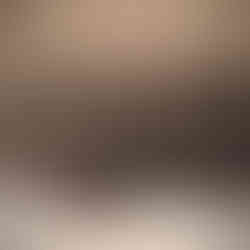 AKC French Bulldog Puppies for Sale