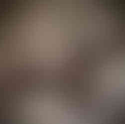 AKC French Bulldog Puppies for Sale